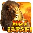 Hot Safari icon